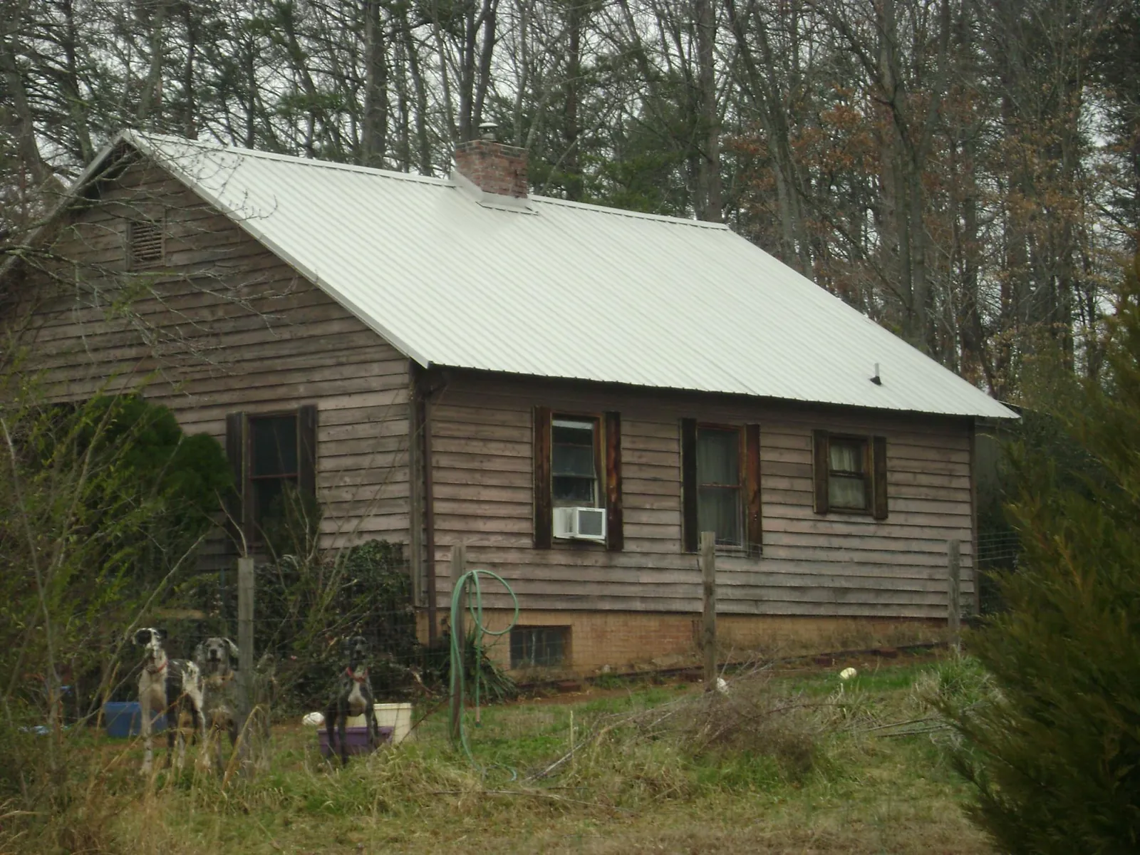 White metal roof on an old wood sided farmhouse, from a Asphalt Shingle Roof Repair job in Follansbee